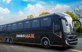 zingbus