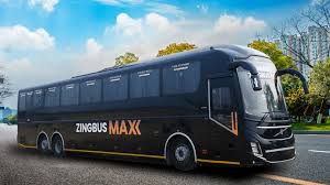 zingbus