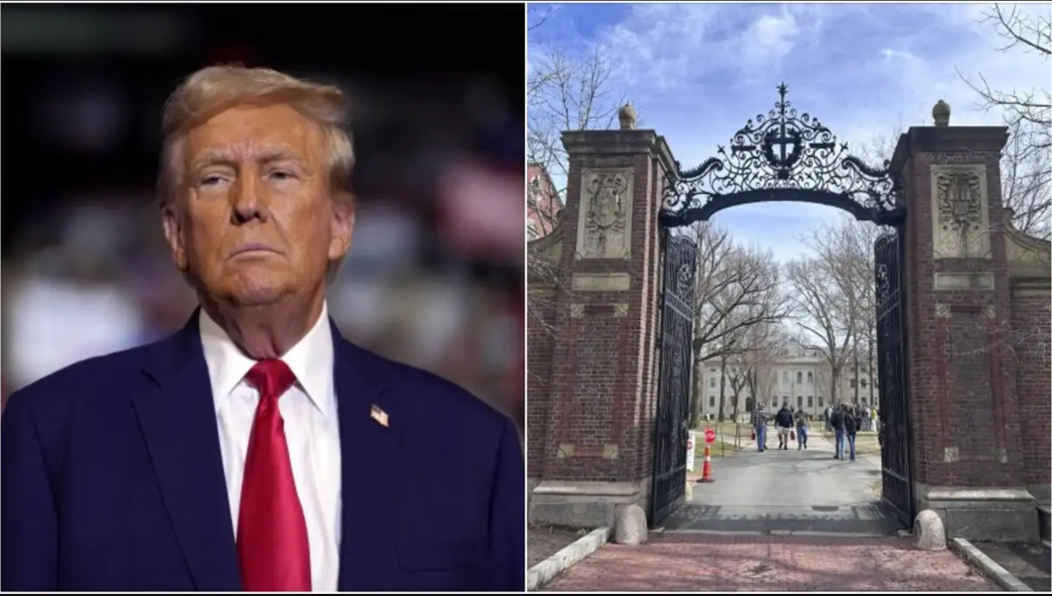 Harvard faces $1B federal funding freeze as Trump administration demands major policy overhaul and accountability. Harvard faces $1B federal funding freeze as Trump administration demands major policy overhaul and accountability.